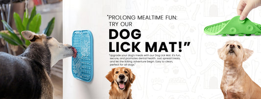 Unlocking Joy: How Lick Mats Can Transform Your Pet's Routine