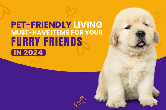 Pet-Friendly Living: Must-Have Items for Your Furry Friends in 2024