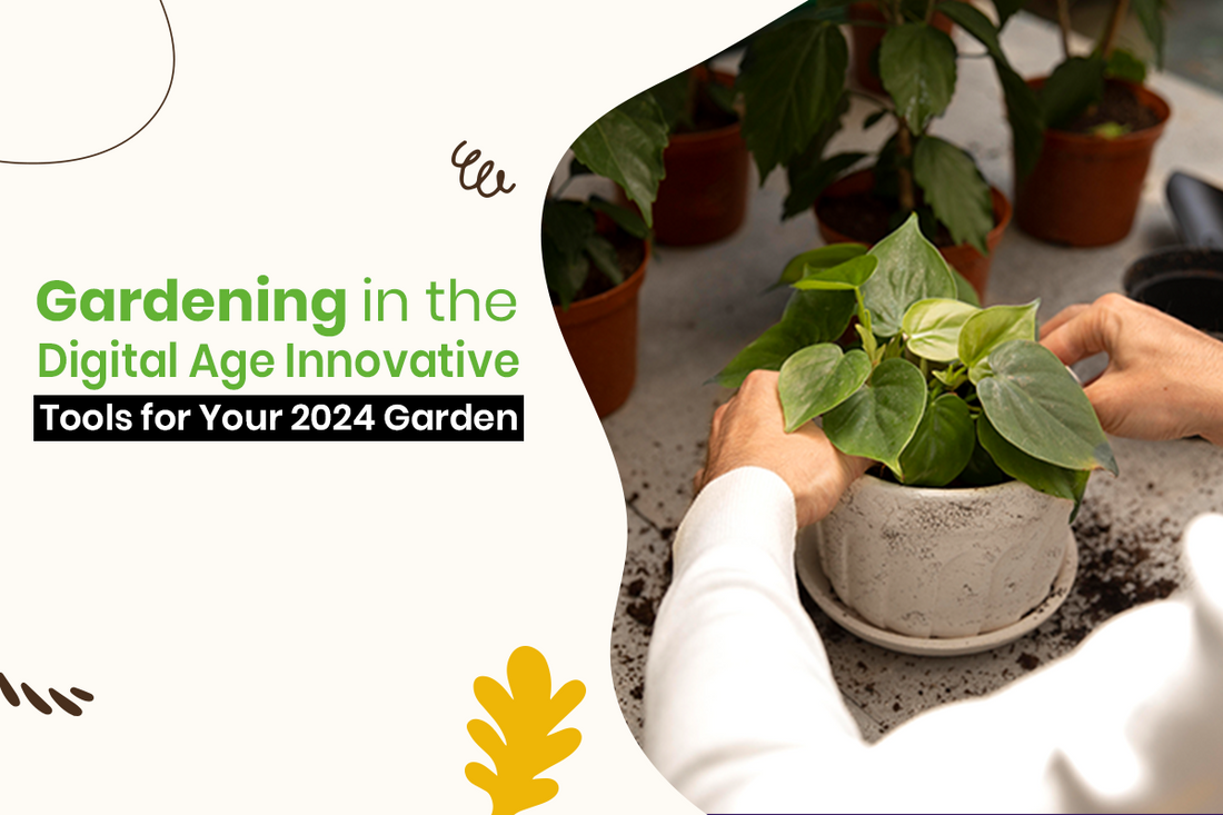 Gardening in the Digital Age: Innovative Tools for Your 2024 Garden