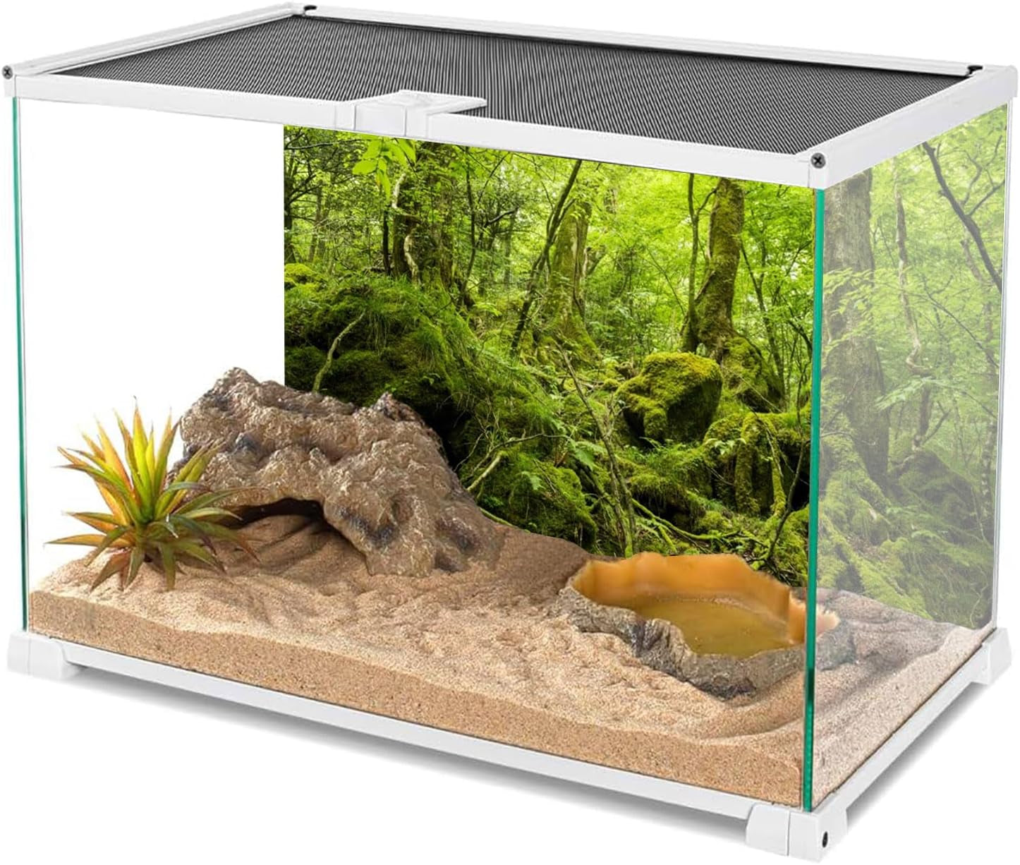 60X24 Inches Terrarium Background Tropical Rainforest Reptile Habitat Background Green Huge Tree Stone Forest Aquarium Background