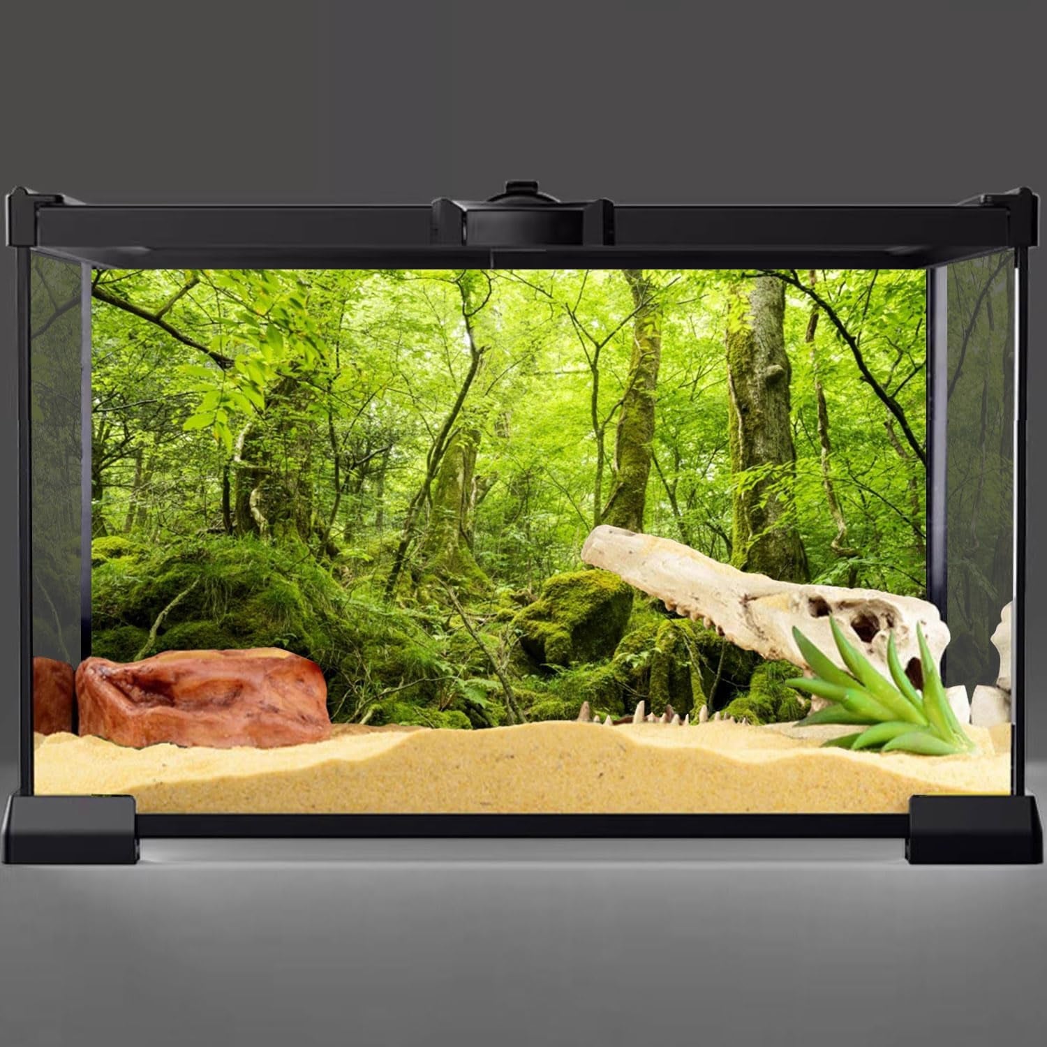 60X24 Inches Terrarium Background Tropical Rainforest Reptile Habitat Background Green Huge Tree Stone Forest Aquarium Background